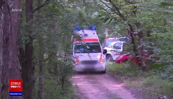 Cum a fost posibilă tragedia din Mureș, în care un copil de 8 ani și-a împuşcat mortal fratele mai mic