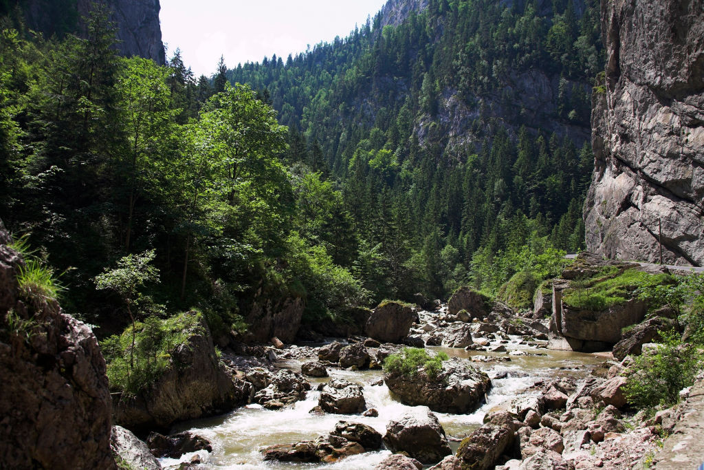 Dosare penale după dezastrul ecologic de pe râul Bicaz. O păstrăvărie, anchetată după ce ar fi vândut pește otrăvit