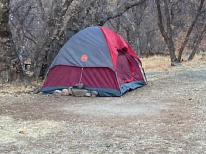 Dispărută &icirc;n 2020, o femeie a fost găsită &icirc;n viață, &icirc;ntr-o pădure. Cum a supraviețuit