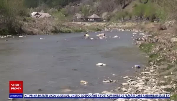 Toți peștii de la 2 păstrăvării din Neamț au murit în câteva minute. „Apa s-a albit. Săreau de parcă îi curenta cineva”