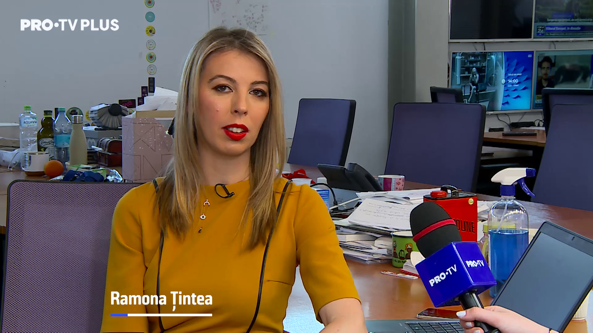 Povestea anchetei jurnalistice despre ursul Arthur. Ramona Ţintea: "Nu am vrut să cred până nu am văzut numele prinţului"