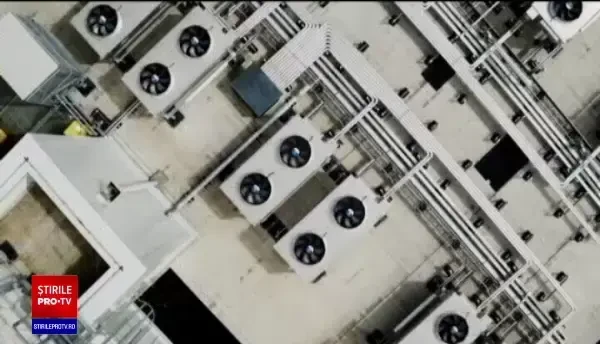 Sute de companii internaționale își păstrează bazele de date în România. Care e motivul