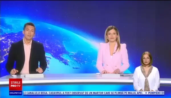 Un urs a fost filmat în timp ce smulge un coș de gunoi pe o stradă din Sinaia. VIDEO