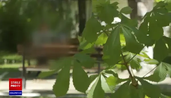 Copil de 10 ani, în stare gravă la spital, după ce a fost bătut crunt de tatăl său