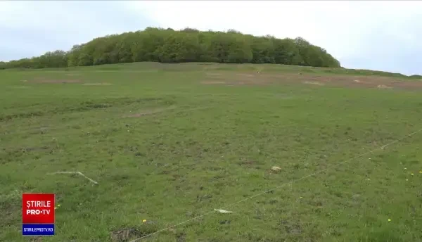 Focar de infecţie pe o păşune din Ardeal. Au fost descoperite mai multe leşuri de animale