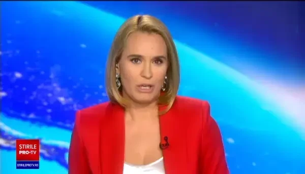 Evadare în Manhattan. Cum a fost dusă înapoi în parc o rață și bobocii săi