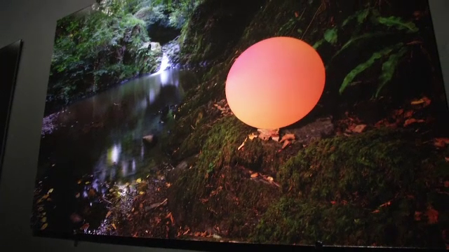 Cele mai strălucitoare culori create vreodată de om, expuse la Grădina Botanică Regală din Marea Britanie