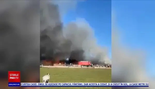 Un incendiu puternic s-a declanşat la un adăpost de animale din județul Suceava: ”Doar 4 porci au fost salvați”