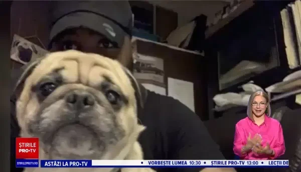 Un preot din SUA i-a organizat câinelui său o înmormântare extravagantă. Imagini incredibile