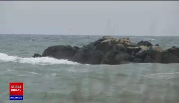 Care a fost ultima dorință a scriitoarei Ileana Vulpescu. Autoarea romanului „Arta conversaţiei” s-a stins la 89 de ani