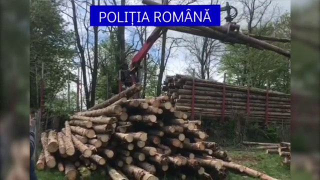 Amenzi de 17.000 de lei după un banal control în trafic. Ce au descoperit polițiștii