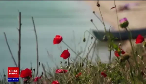 Turiștii străini încă au interzis în România. Guvernul nu are o strategie clară pentru atragerea lor