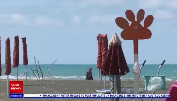 Plajă pentru turiștii cu câini, deschisă lângă Roma. „Câinii sunt liberi şi fericiţi”