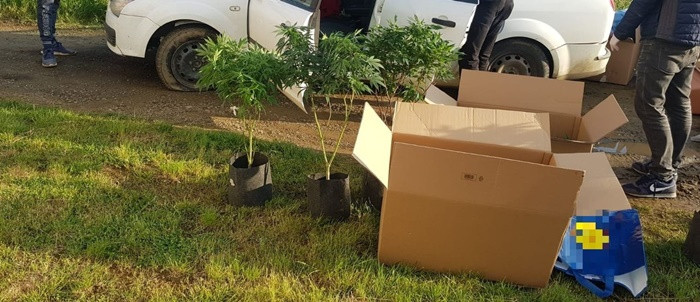 Ce ascundea în mașină un șofer din Arad. A fugit imediat când i-a văzut pe polițiști