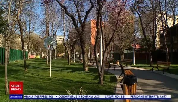 Horoscop 19 mai, cu Neti Sandu. Capricornii își vor schimba profesia anul acesta