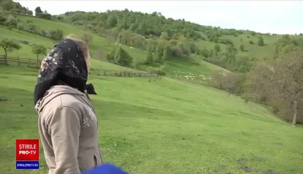 Copiii din Alba care-și urmează părinții în transhumanță, în creierul munților. ”E un fel de loc fermecat”