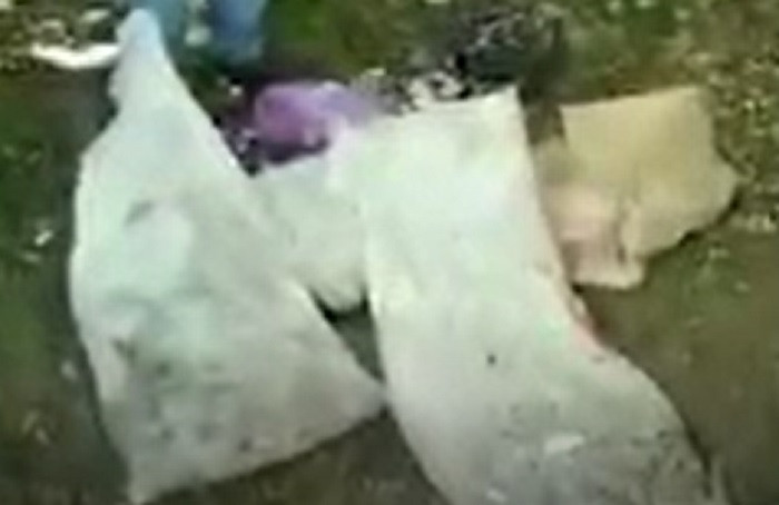 A aruncat câțiva saci cu găini moarte la marginea unei păduri, apoi a primit o lecție de neuitat