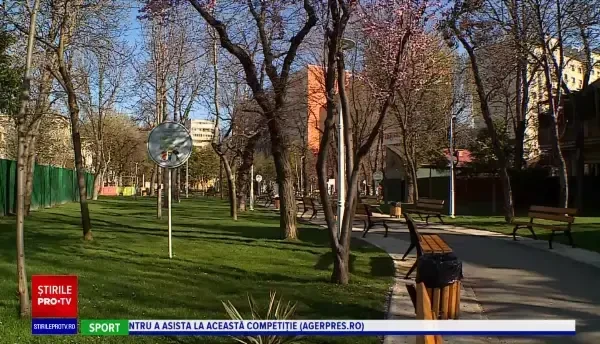 Horoscop 21 mai, cu Neti Sandu. Taurii se vor întâlni cu persoana care le va schimba viața