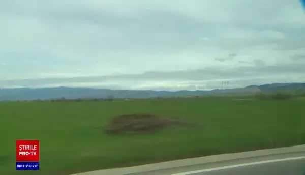 Un prinț din Liechtenstein a împușcat cel mai mare urs din România, deși este ilegal