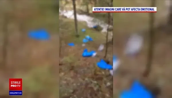 Anchetă în cazul celor 27 de câini uciși și aruncați în saci de plastic în Parcul Național Retezat. ”Nu știm nimic”