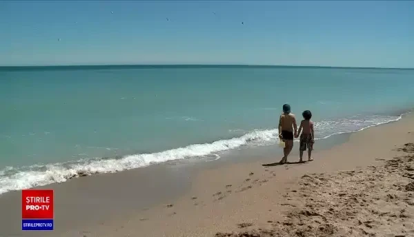 Delfinii au apărut în valurile din Vama Veche. În staţiune vin tot mai multe familii cu copii