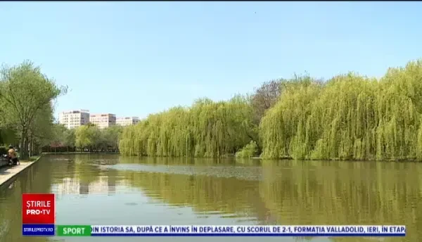 Horoscop 23 mai, cu Neti Sandu. Vărsătorii au parte de o întâlnire emoționantă