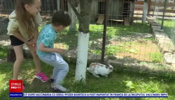 Ograda bunicilor, recreată de doi bucureșteni. Ce primesc turiștii pentru 70 de lei