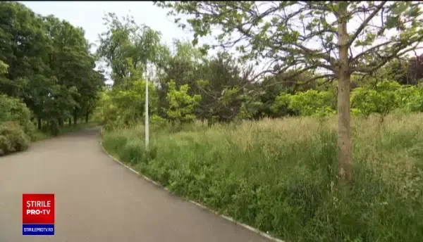 Parcurile neîngrijite din București au devenit un pericol. Iarba este aproape cât un om