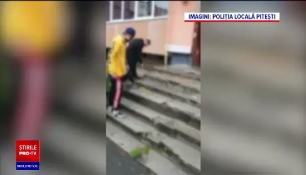 Polițiștii piteșteni le-au pus gând rău celor care aruncă pe stradă coji de semințe. Ce pedepse au primit