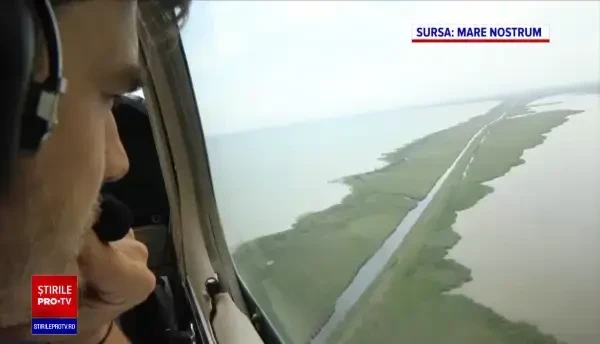 Delfinii din Marea Neagră, decimați de poluare. Experții avertizează că numărul lor a scăzut dramatic