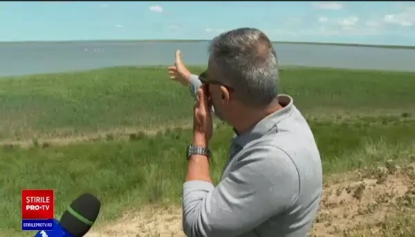 Păsările flamingo poposesc tot mai des în România. Peste 100 de păsări au fost observate în Delta Dunării