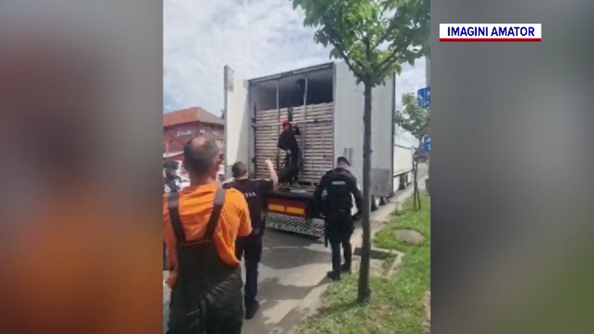 Acţiune de amploare în Timiș pentru găsirea migranţilor care tranzitează ilegal graniţa ţării