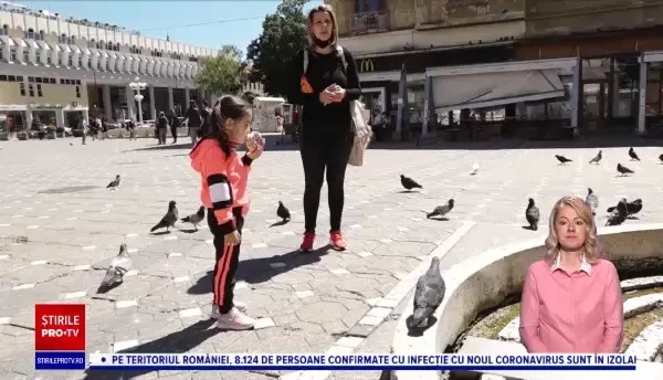 Hrănirea porumbeilor, interzisă în Timișoara. Cu ce sumă vor fi amendați cei care încalcă regula