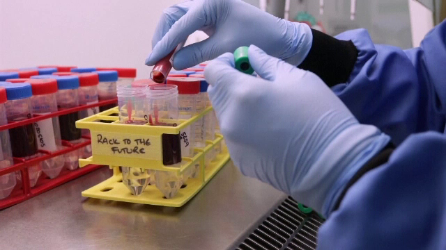 Tot mai multe cazuri de infectare cu varianta indiană de Covid-19, în Marea Britanie