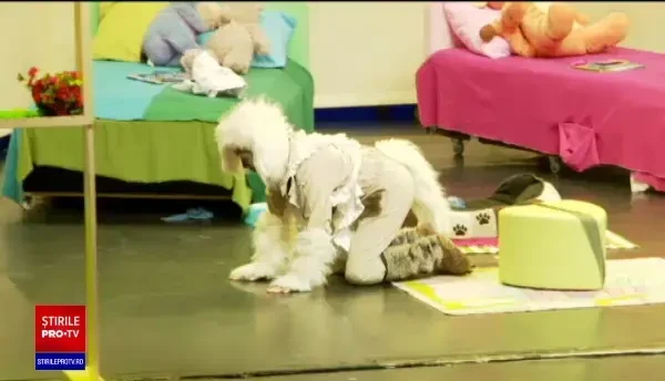 De Ziua Copilului, cei mici s-au plimbat cu avionul și au fost în Parlament. Ce legi au dat