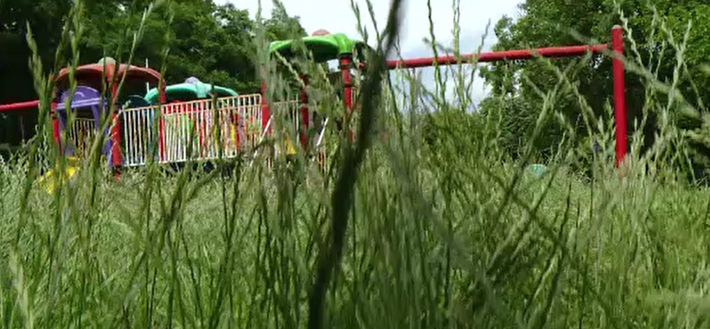 Nicușor Dan, anunț important pentru bucureșteni: Parcurile Capitalei vor fi igenizate