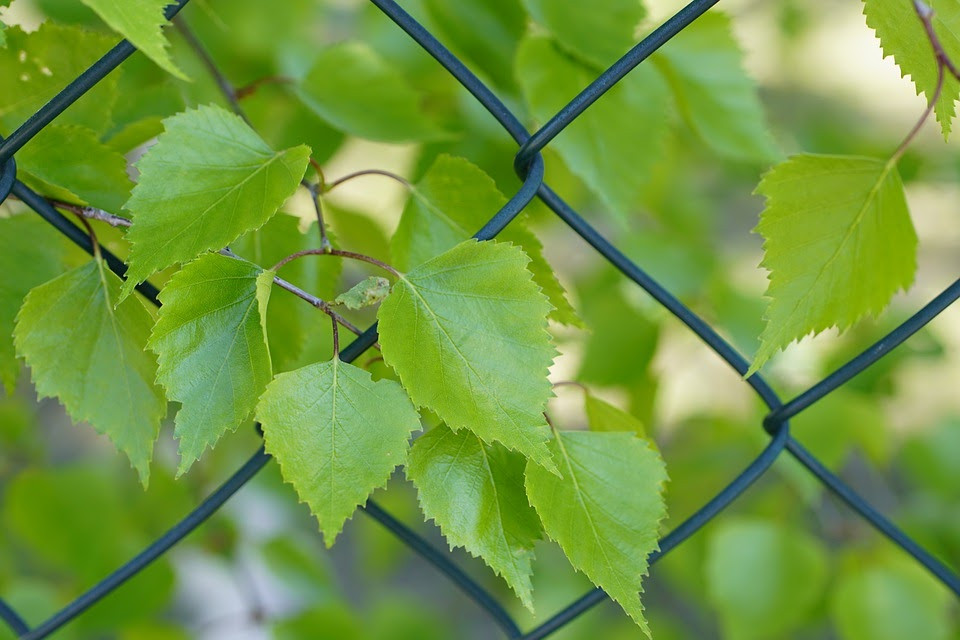(P) Vrei un gard metalic modern? X idei uşor de pus în practică
