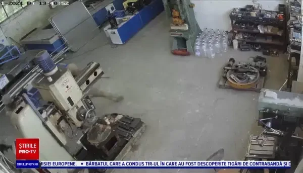 Scandal internațional după ce trupele NATO au pătruns din greșeală într-o fabrică din Bulgaria. ”Sunt jignit şi umilit”