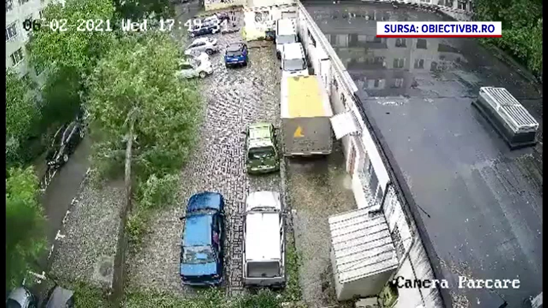 Momentul în care un copac a căzut peste două mașini în Brăila. Proprietarii vor să dea primăria în judecată