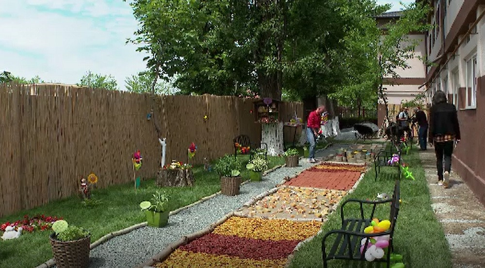 A fost inaugurată singura grădină senzorială dintr-o școală de stat din România. Poartă numele lui Adi Bărar