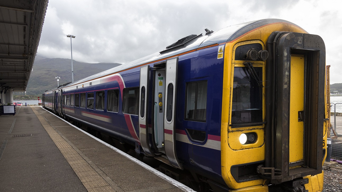 O tânără de 28 de ani a scos capul pe fereastra unui tren și a fost ucisă de o ramură de copac