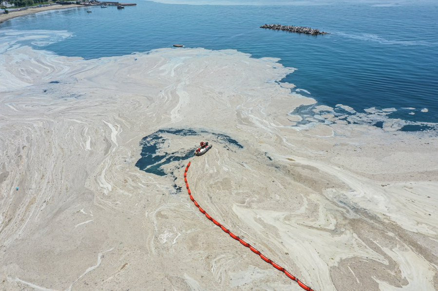 Un strat gros de alge, favorizat de poluare, a acoperit coastele Mării Marmara