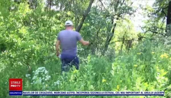 Un urs a terorizat un sat din Dâmbovița. S-a cerut ajutorul autorităților