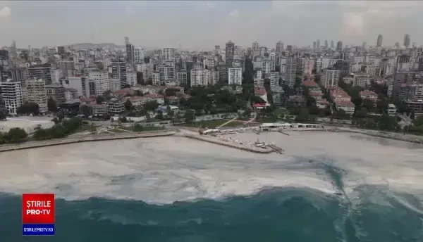 Un strat gros de alge, favorizat de poluare, a acoperit coastele Mării Marmara