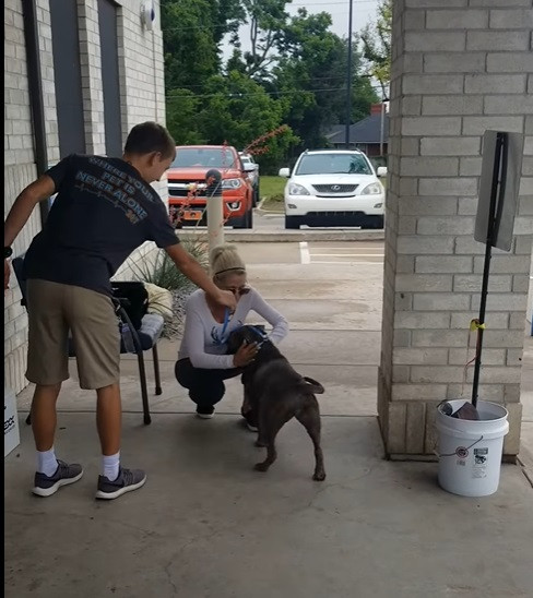 Momentul emoționant în care o femeie își regăsește câinele pierdut în urmă cu un an