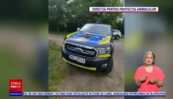 Poliția animalelor a salvat de la moarte peste 200 de suflete, în 5 luni
