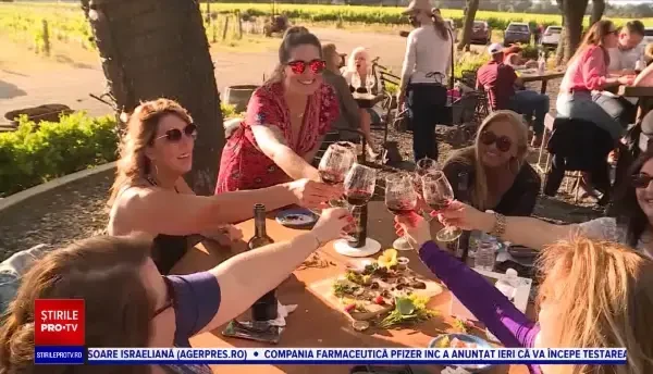 Roboți care culeg struguri, folosiți în California. Fermierii spun că vinul are astfel o calitate superioară