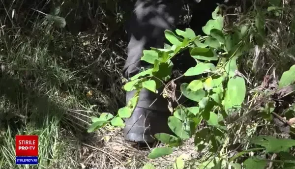 Medici acuzați de un pacient că au ajutat patru bătăuși să scape de răspundere. Diagnostic medical omis