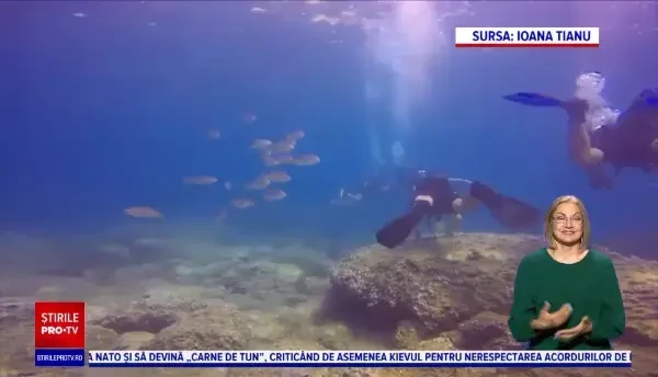 Joburile făcute din pasiune, în locuri exotice sau în vârf de munte. Ce calități sunt necesare