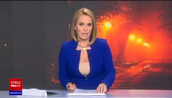 Vulpi filmate pe străzile din București. Una traversa cu o pisică în gură